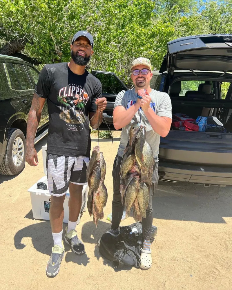 撼动的强项 撼动的强项