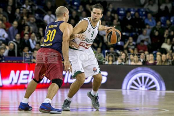 B世界观子 B世界观子